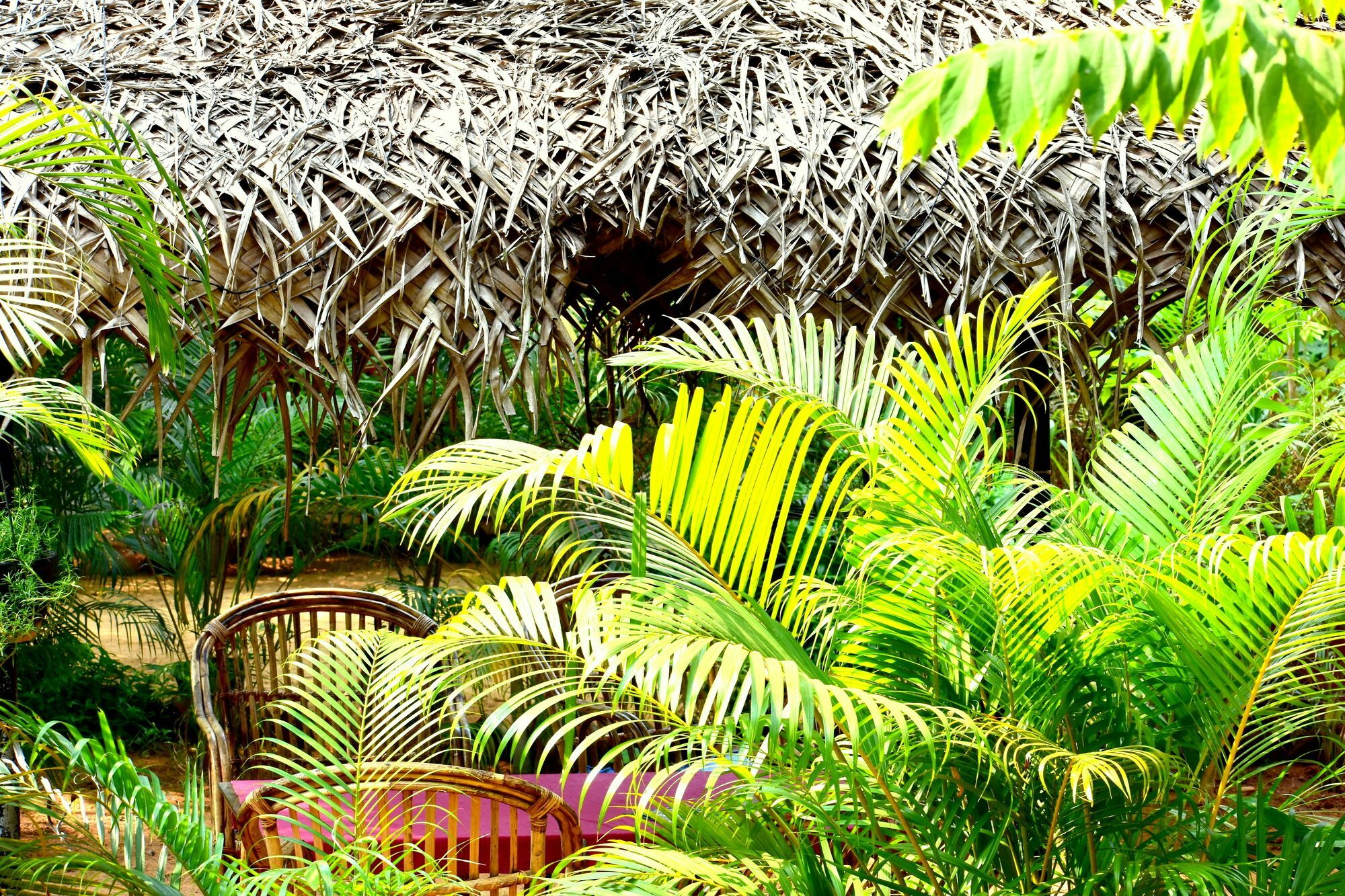 Patnem Garden Resort Patnem Beach Esterno foto